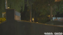 Load and play video in Gallery viewer, Sago 90 Plus 2 Wizard Style Urban Skate Frames- 90mmX4 / 110mmx3
